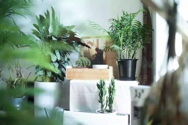 裝修攻略 | 陽臺(tái)這樣裝，實(shí)用又好看