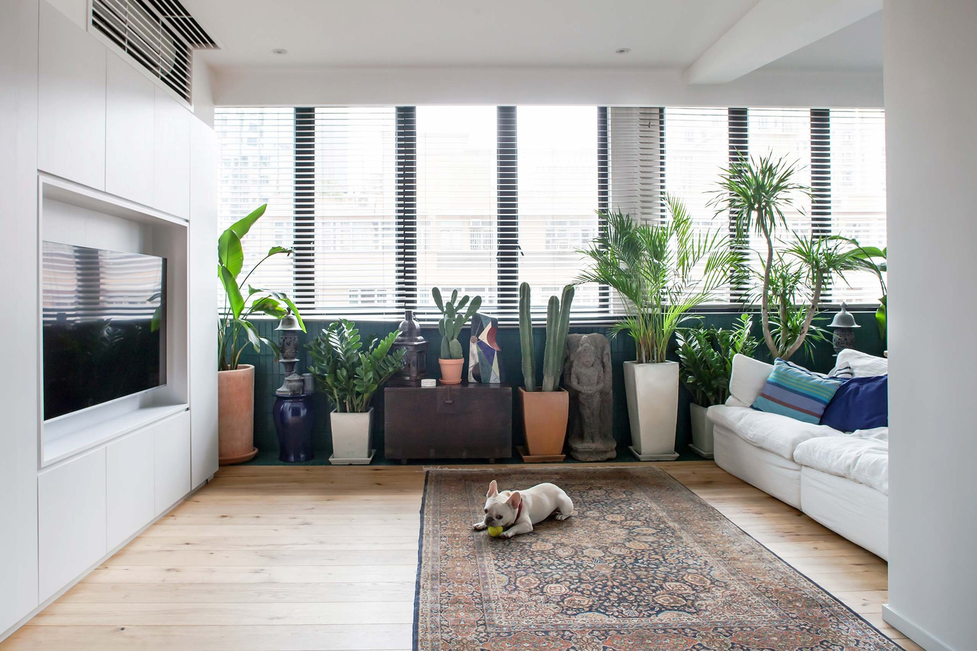 南寧合景天峻廣場(chǎng)74平米現(xiàn)代風(fēng)格案例效果圖